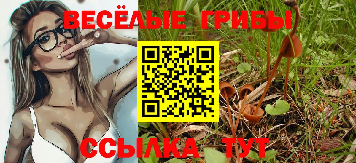 Калуга  Псилоцибиновые грибы Psilocybe  Галлюциногенные грибы GOLDEN TEACHER  Вход с VPN 